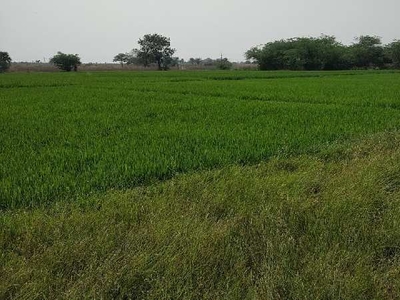 Agricultural Land 3 Acre for Sale in Ibrahimpatnam, Hyderabad
