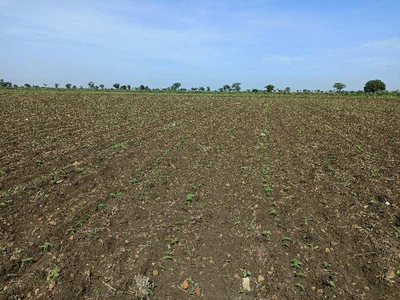 Agricultural Land 3 Acre for Sale in Kodangal, Vikarabad