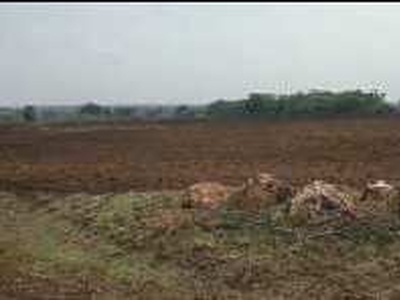 Agricultural Land 3 Acre for Sale in Kodangal, Vikarabad