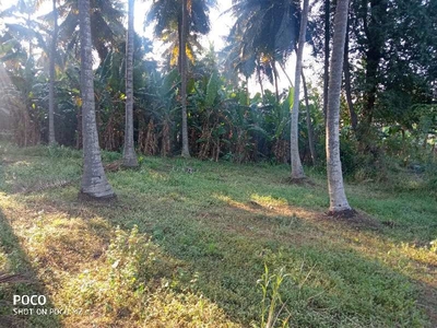 Agricultural Land 3 Acre for Sale in Kothapeta, East Godavari