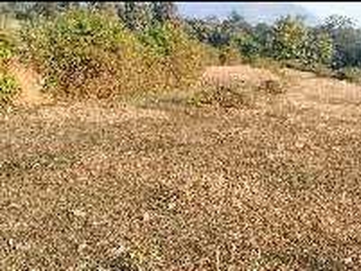 Agricultural Land 3 Acre for Sale in