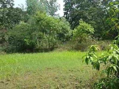 Agricultural Land 3 Bigha for Sale in Dhampur, Bijnor