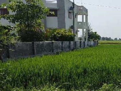 Agricultural Land 3 Bigha for Sale in Matar, Kheda