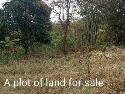 Agricultural Land 300 Sq.ft. for Sale in Kangpokpi, Sadar Hills Autonomous