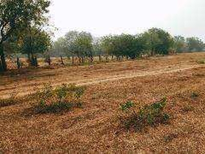 Agricultural Land 31 Dismil for Sale in Nahar Area, Buxar
