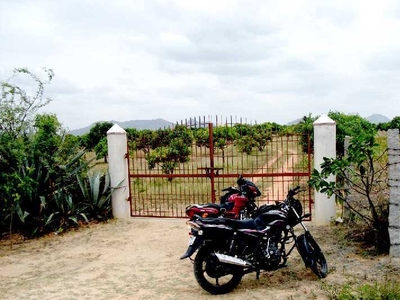 Agricultural Land 32 Acre for Sale in Madanapalle, Chittoor