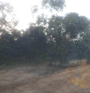 Agricultural Land 35 Bigha for Sale in