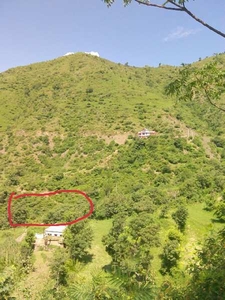 Agricultural Land 3500 Sq. Meter for Sale in Chail, Solan