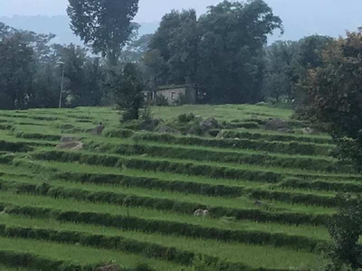 Agricultural Land 3630 Sq. Yards for Sale in Shahpur, Kangra