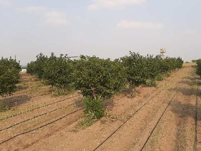 Agricultural Land 4 Acre for Sale in Kharabwadi, Pune