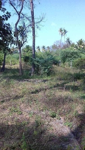 Agricultural Land 4 Acre for Sale in Natrampalli, Vellore