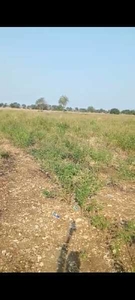 Agricultural Land 4 Acre for Sale in Tandur, Vikarabad