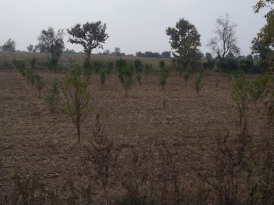 Agricultural Land 4 Ares for Sale in