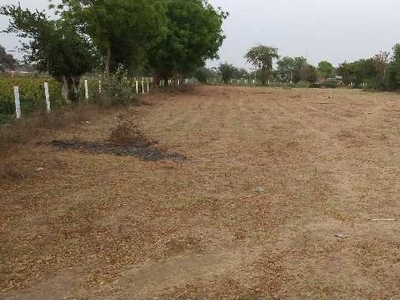 Agricultural Land 4 Bigha for Sale in Borsad, Anand