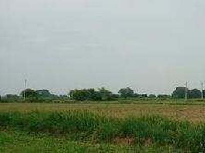 Agricultural Land 4 Bigha for Sale in Ghatampur, Kanpur