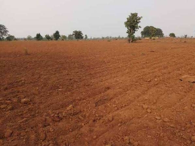 Agricultural Land 4 Bigha for Sale in Savarkundla, Amreli