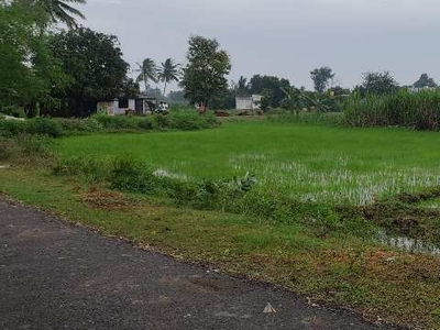 Agricultural Land 4 Cent for Sale in Sankarapuram, Villupuram