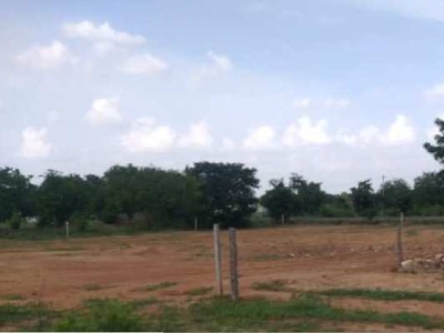 Agricultural Land 4 Guntha for Sale in Moinabad, Hyderabad