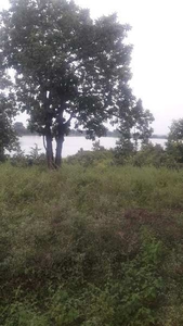 Agricultural Land 40 Acre for Sale in Ichhawar, Sehore