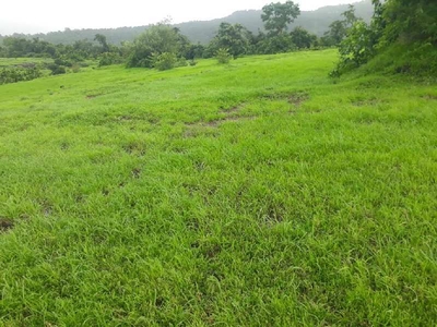Agricultural Land 40 Acre for Sale in