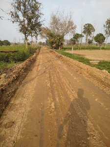 Agricultural Land 4000 Sq. Yards for Sale in Babugarh, Hapur