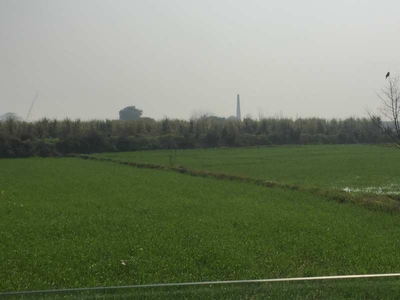 Agricultural Land 40000 Sq. Yards for Sale in Meerut Bypass