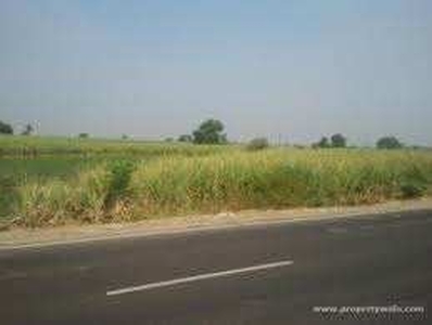 Agricultural Land 42 Bigha for Sale in Jobner, Jaipur