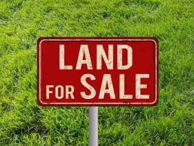 Agricultural Land 43 Acre for Sale in Samudrapur, Wardha