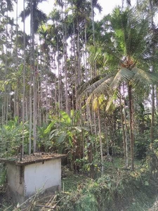 Agricultural Land 43 Cent for Sale in Kulshekar, Mangalore