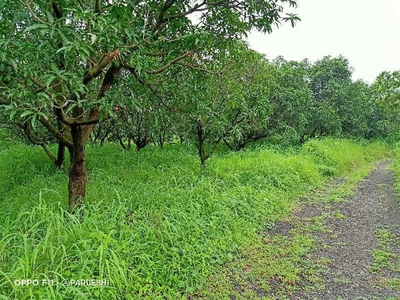 Agricultural Land 43500 Sq.ft. for Sale in