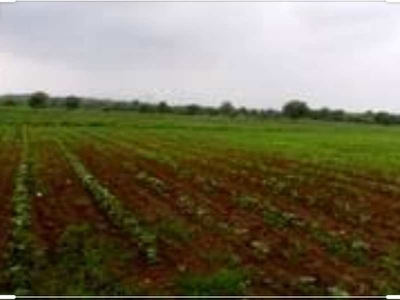 Agricultural Land 450000 Sq.ft. for Sale in Lamdapura, Vadodara