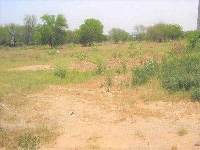 Agricultural Land 46 Acre for Sale in Haileymandi, Gurgaon