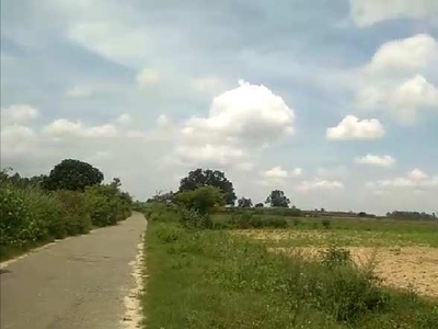 Agricultural Land 475 Bigha for Sale in Shahabad, Rampur