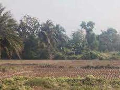 Agricultural Land 480 Katha for Sale in