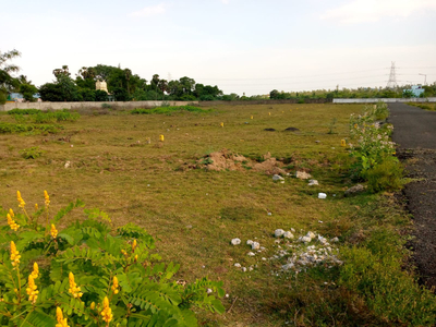 Agricultural Land 4870 Sq. Yards for Sale in
