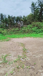 Agricultural Land 5 Acre for Sale in Ankola, Uttara Kannada