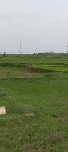 Agricultural Land 5 Acre for Sale in Balugaon, Khordha
