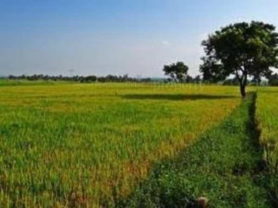 Agricultural Land 5 Acre for Sale in Bawal, Rewari