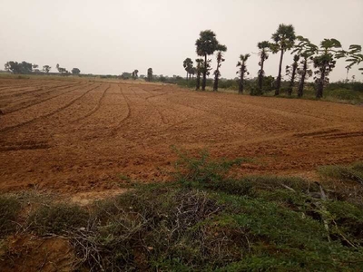 Agricultural Land 5 Acre for Sale in Kariapatti, Madurai