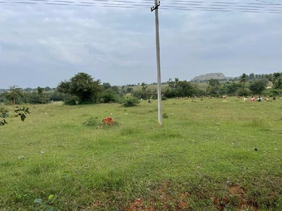 Agricultural Land 5 Acre for Sale in Koratagere, Tumkur