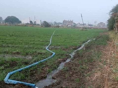 Agricultural Land 5 Acre for Sale in Manglia, Indore