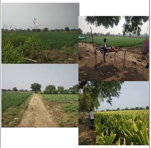 Agricultural Land 5 Acre for Sale in Mudkhed, Nanded