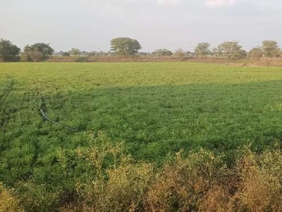 Agricultural Land 5 Acre for Sale in Sehore Road, Bhopal
