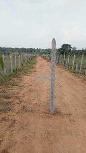 Agricultural Land 5 Acre for Sale in Shivampet, Medak