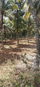 Agricultural Land 5 Ares for Sale in Kanakapura Road, Bangalore