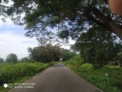 Agricultural Land 5 Bigha for Sale in Bhinder, Udaipur