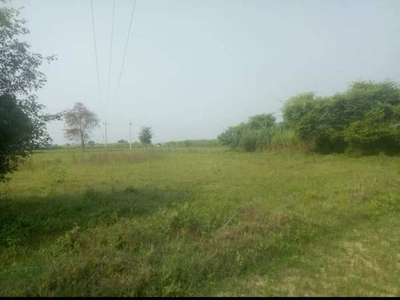 Agricultural Land 5 Bigha for Sale in Ghatampur, Kanpur