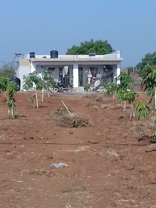Agricultural Land 5 Bigha for Sale in Lathi, Amreli