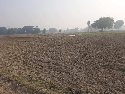 Agricultural Land 5 Bigha for Sale in Saidpur Ghazipur
