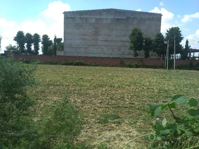 Agricultural Land 5 Bigha for Sale in Sirsaganj, Firozabad
